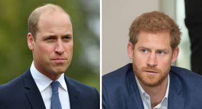 Prince Harry and Prince William set for more heartache over 'new feud' - www.newidea.com.au