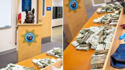 California K-9 sniffs out $300G in suspected drug money during traffic stop - www.foxnews.com - California - county Merced