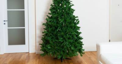Ex-retail worker shares golden rule to make fake Christmas trees look 'bigger and fuller' - www.dailyrecord.co.uk