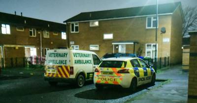 Man seriously injured after stabbing in east Manchester - www.manchestereveningnews.co.uk - Manchester - county Bradford