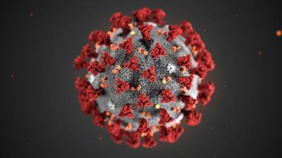 What's driving coronavirus vaccine hesitancy in US? - www.foxnews.com - USA
