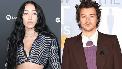 Noah Cyrus Apologizes For Using Racially Insensitive Comment While Defending Harry Styles: ‘I Am Mortified’ - hollywoodlife.com