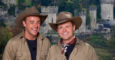 I'm A Celebrity's 'production team left in chaos after Covid scare' - www.msn.com