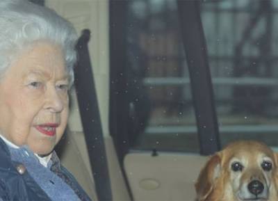 It will be a sad Christmas for the Queen as her dog Vulcan dies - evoke.ie