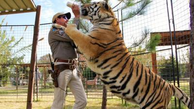 'Tiger King' Bill Passed by House That Would Ban Big Cat Ownership - www.etonline.com