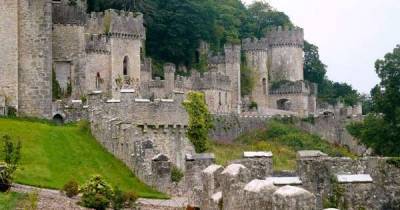 I'm A Celebrity could remain at Gwrych Castle next year, says ITV boss - www.msn.com - Australia