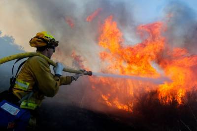 Southern California's Bond Fire explodes overnight, forcing evacuation of thousands - www.foxnews.com - California - city Santa Ana
