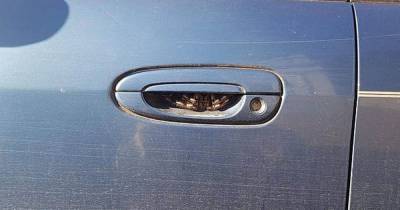 Woman 'hasn't driven for a week' after terrifying find inside car door handle - www.dailyrecord.co.uk - Australia