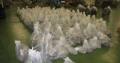Tonne of cocaine worth £100m found in banana shipment at UK port - www.dailyrecord.co.uk - Britain - Belgium - Colombia