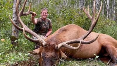 Minnesota hunter's bull elk deemed second-largest ever shot in state - www.foxnews.com - Minnesota - county Roosevelt