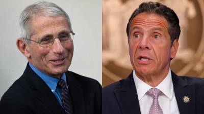 Cuomo suggests Fauci team-up: 'We’re like the modern-day De Niro and Pacino' - www.foxnews.com - New York