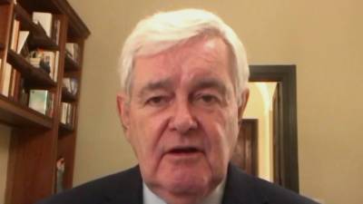 Newt Gingrich & Jackie Cushman: Ensure election integrity in Georgia runoffs - www.foxnews.com