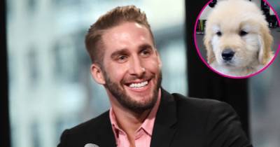 Bachelorette’s Shawn Booth Adopts New Pup Walter Nearly Two Months After Dog Tucker Died - www.usmagazine.com