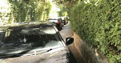 Dunham Massey visitors have been parking illegally and leaving a mess behind - police are now cracking down - www.manchestereveningnews.co.uk