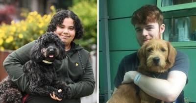 Britain's 22 top dogs: The canine companions across the UK whose support has kept their owners going during lockdown - www.manchestereveningnews.co.uk - Britain - Ireland