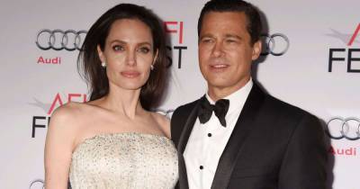 Angelina Jolie reveals the reason she divorced Brad Pitt - www.msn.com