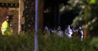 Mass stabbing in Reading park kills three people and leaves more seriously injured but is not being treated as terror attack - www.manchestereveningnews.co.uk