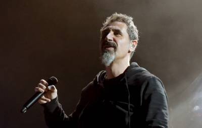 Serj Tankian responds to viral clip of System of a Down fans at Nigerian wedding - www.nme.com - Nigeria