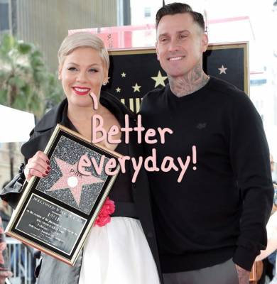 Pink Reveals Marriage Counseling Is ‘The Only Reason’ She’s Still With Carey Hart! Wow! - perezhilton.com