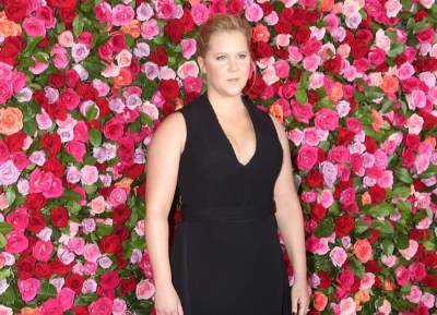 Amy Schumer dedicates Father’s Day to single mothers everywhere - evoke.ie