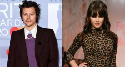 Harry Styles tries 'sliding into ex Daisy Lowe's DMs' to revive their relationship after 7 years - www.pinkvilla.com