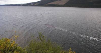 Loch Ness Monster 'spotted' by walker as new pics spark Nessie debate - www.dailyrecord.co.uk - Scotland - city Southampton