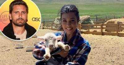 Scott Disick Comments ‘Cute Shirt’ on a Pic of Kourtney Kardashian Wearing Another Flannel Shirt - www.usmagazine.com - Wyoming
