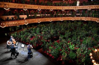 Barcelona Opera House Fills Seats With Plants For Socially Distanced Concert - www.billboard.com - Spain