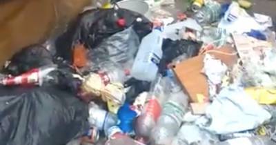 Horrifying video shows giant dead rats littered amongst rubbish picked up by Glasgow binmen - www.dailyrecord.co.uk
