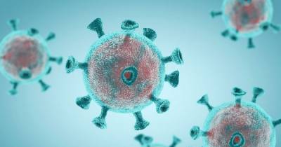 Ayrshire coronavirus death toll nears 300 - www.dailyrecord.co.uk - Scotland