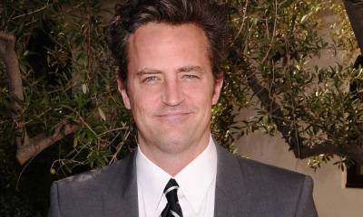 Matthew Perry delights fans after introducing them to his adorable family member - hellomagazine.com