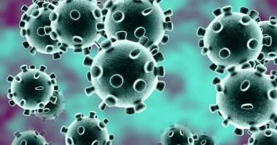 Coronavirus deaths across South Lanarkshire remained static last week - www.dailyrecord.co.uk - Scotland