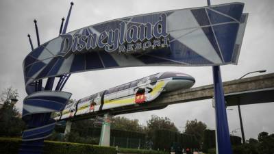 Disneyland Unions Plan Protest at Theme Park Over "Rapid Timetable" to Reopen - www.hollywoodreporter.com