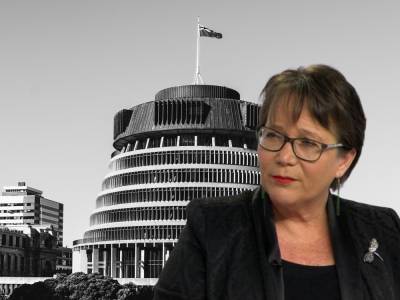 NZ Government Confirms Gender Self ID Bill Remains “On Pause” - gaynation.co - New Zealand