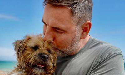 David Walliams shares update on pet dog following operation - hellomagazine.com