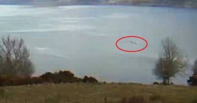 Loch Ness monster 'spotted above the surface of the water for seven minutes' - www.dailyrecord.co.uk - USA - state Oregon