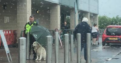 Morrisons security guard goes viral for covering dog with umbrella during rainy Scottish weather - www.dailyrecord.co.uk - Scotland