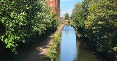 Worry after two geese mysteriously found dead and several taken sick from Ashton Canal - www.manchestereveningnews.co.uk