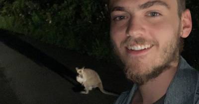 'G'day mate!' Scots lad finds escaped wallaby in the middle of Scottish road and turns on Aussie accent - www.dailyrecord.co.uk - Australia - Scotland