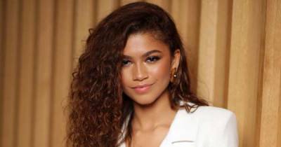 The Oscars Have Reached A Diversity Milestone Thanks To Zendaya, Lulu Wang & More - www.msn.com