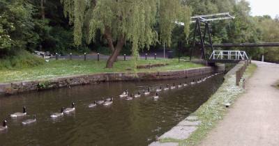 This is the reason people have been finding dead geese along the Ashton Canal - www.manchestereveningnews.co.uk