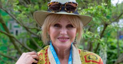 I spotted Joanna Lumley in the local supermarket – her Bolly trolley made my day - www.msn.com