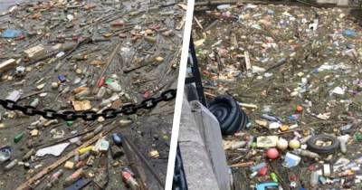 The huge pile of rubbish on the canal in Salford Quays that's 'getting bigger by the day' - www.manchestereveningnews.co.uk