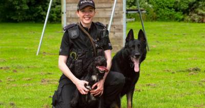 Scots dog handler wants memorial statue for heroic police dogs - www.dailyrecord.co.uk - Scotland - Germany