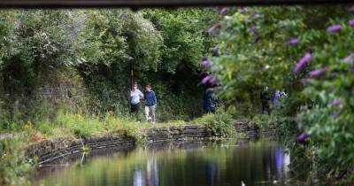 The beautiful birds, fish, flowers and people you can find at the Ashton Canal behind Ancoats - www.manchestereveningnews.co.uk