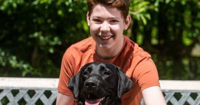 Hero puppy helps save life of Scots brain bleed teen who suffered rare form of stroke - www.dailyrecord.co.uk - Scotland