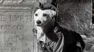 'Wishbone' Movie in the Works from Universal, Mattel - www.hollywoodreporter.com