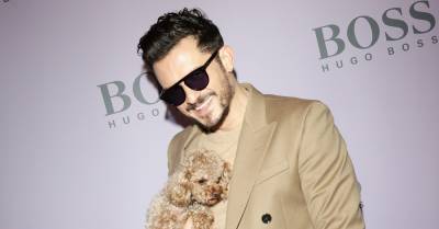Orlando Bloom Reveals His Beloved Dog Mighty is Missing - www.justjared.com