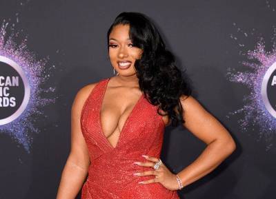 ‘Savage’ singer Megan Thee Stallion is reportedly shot multiple times - evoke.ie