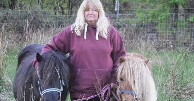Dumbarton landowner makes last ditch attempt to save pony field from A82 relief road - www.dailyrecord.co.uk - city Milton